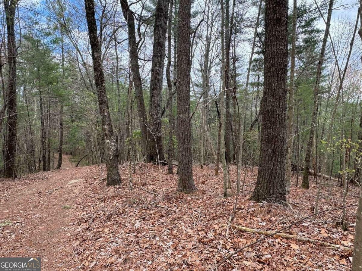 Property Photo:  Tract D Harpers Creek Road  GA 30540 