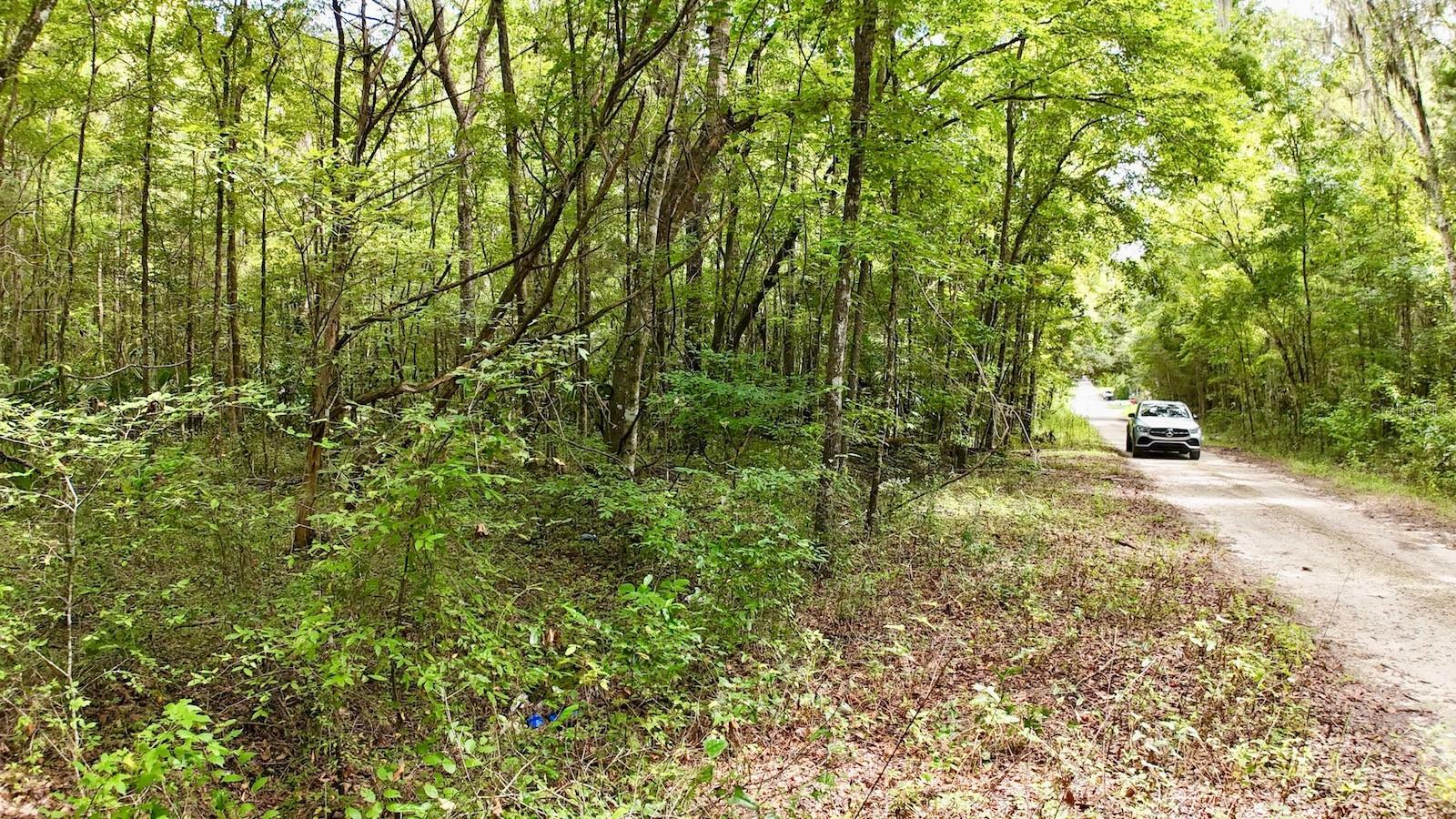 Property Photo: SW 14th Street FL 34481