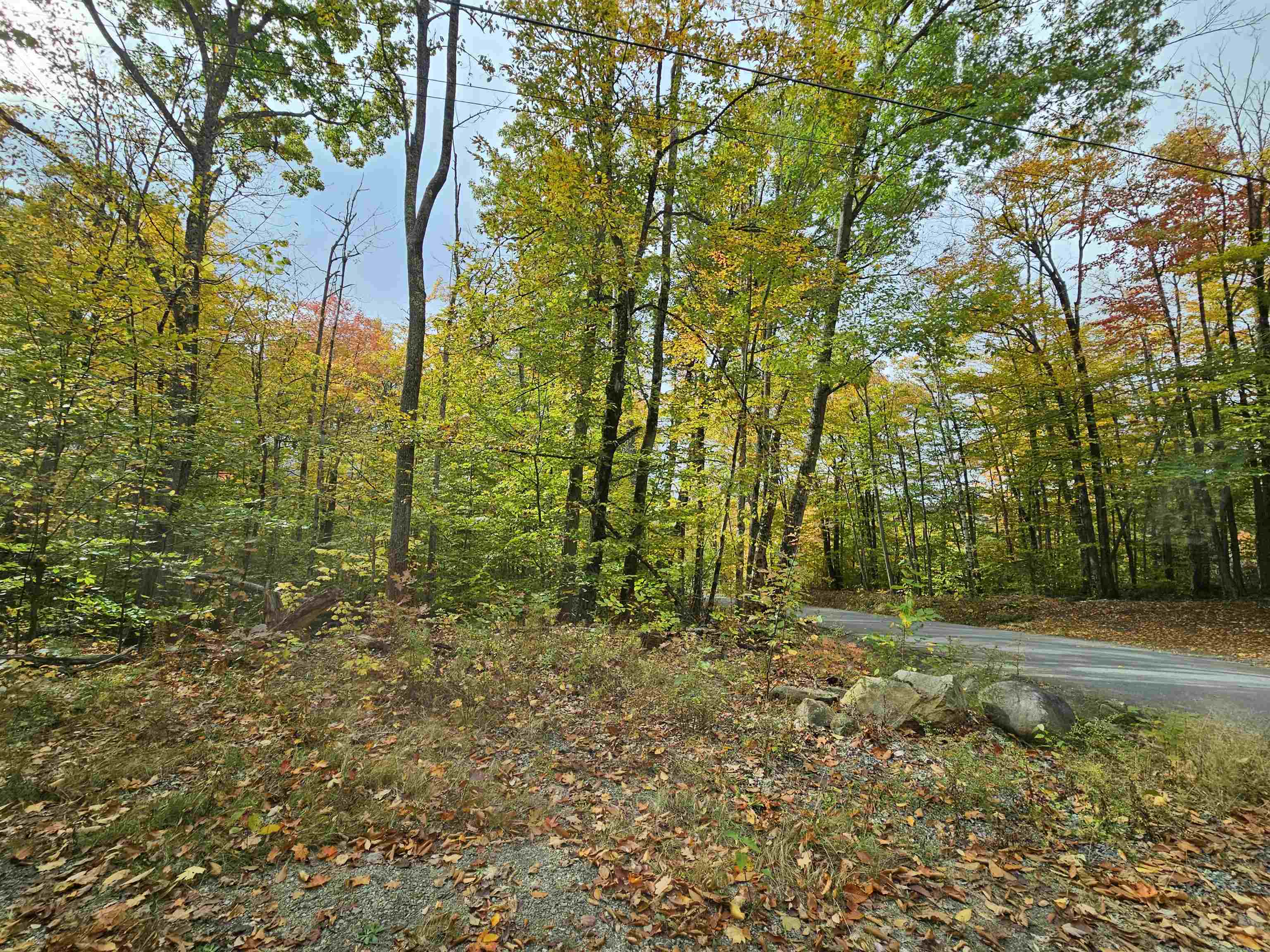 Property Photo:  Lot 21 Wallace Hill Road  NH 03580 