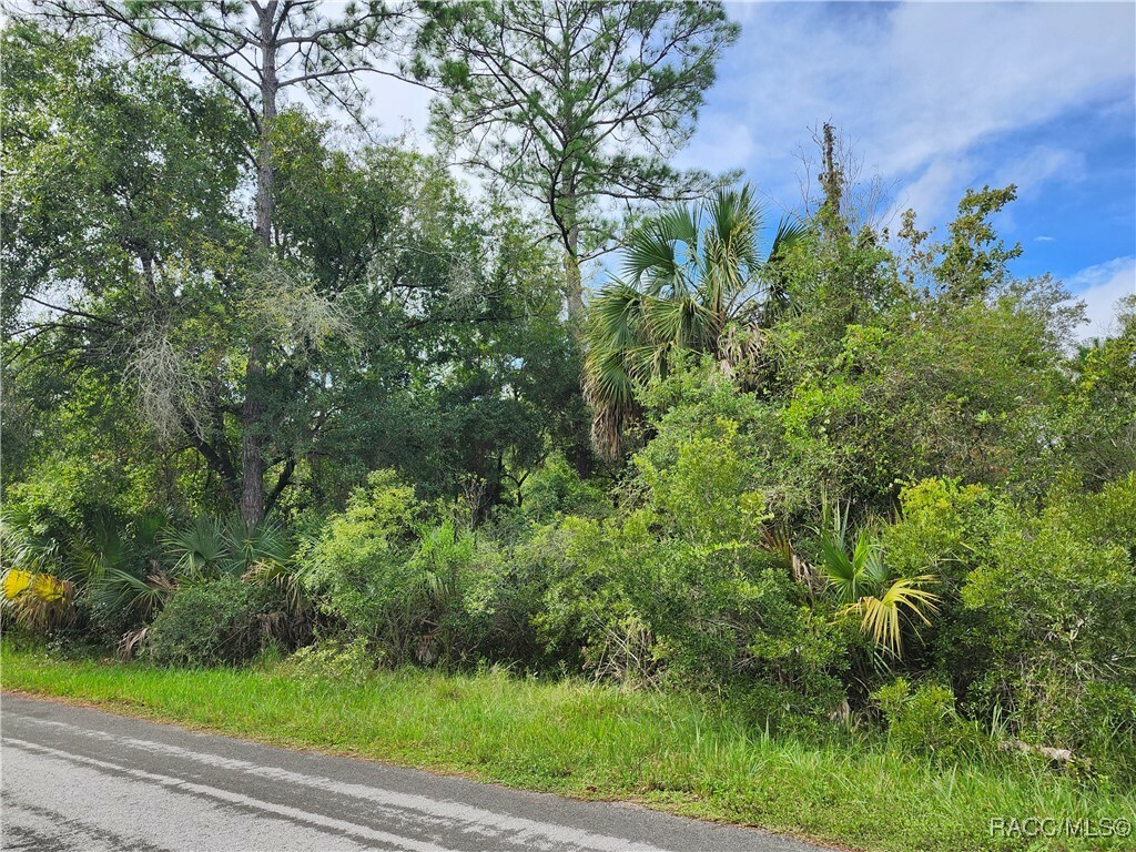 9614 N Dawnflower Avenue  Crystal River FL 34428 photo