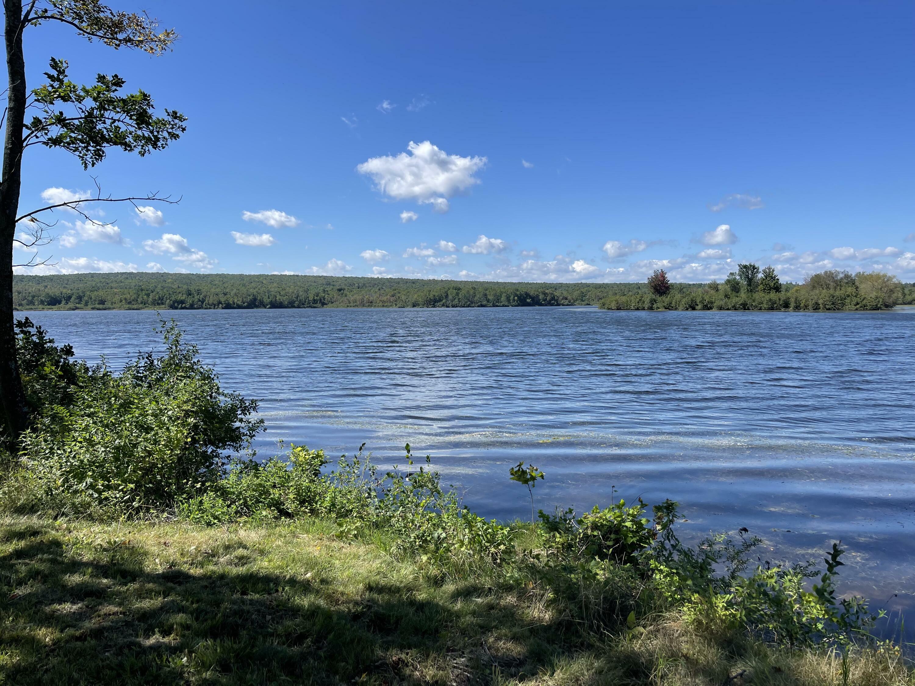 Property Photo:  106 Lake Roxanne Road  NY 12935 