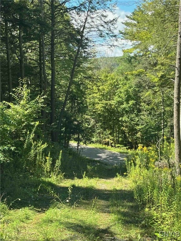 Property Photo:  7000 Pokey Moonshine Road  NY 14572 