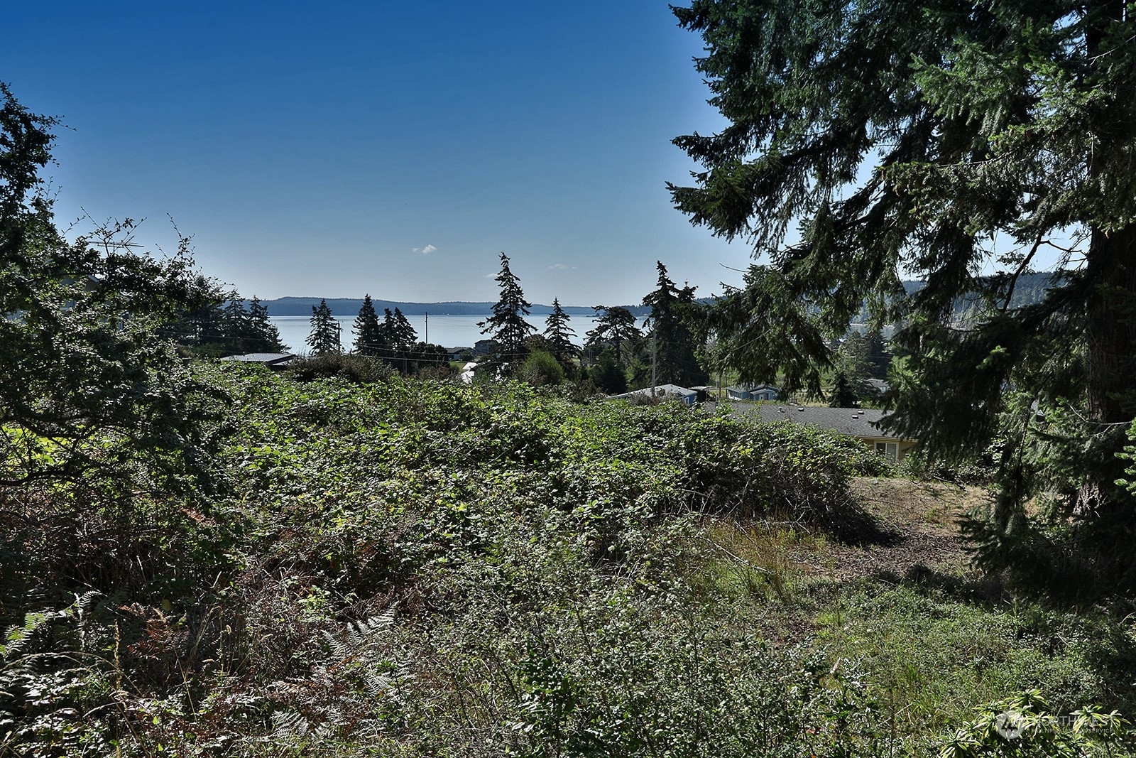 Property Photo:  820 Hawk Lane  WA 98253 