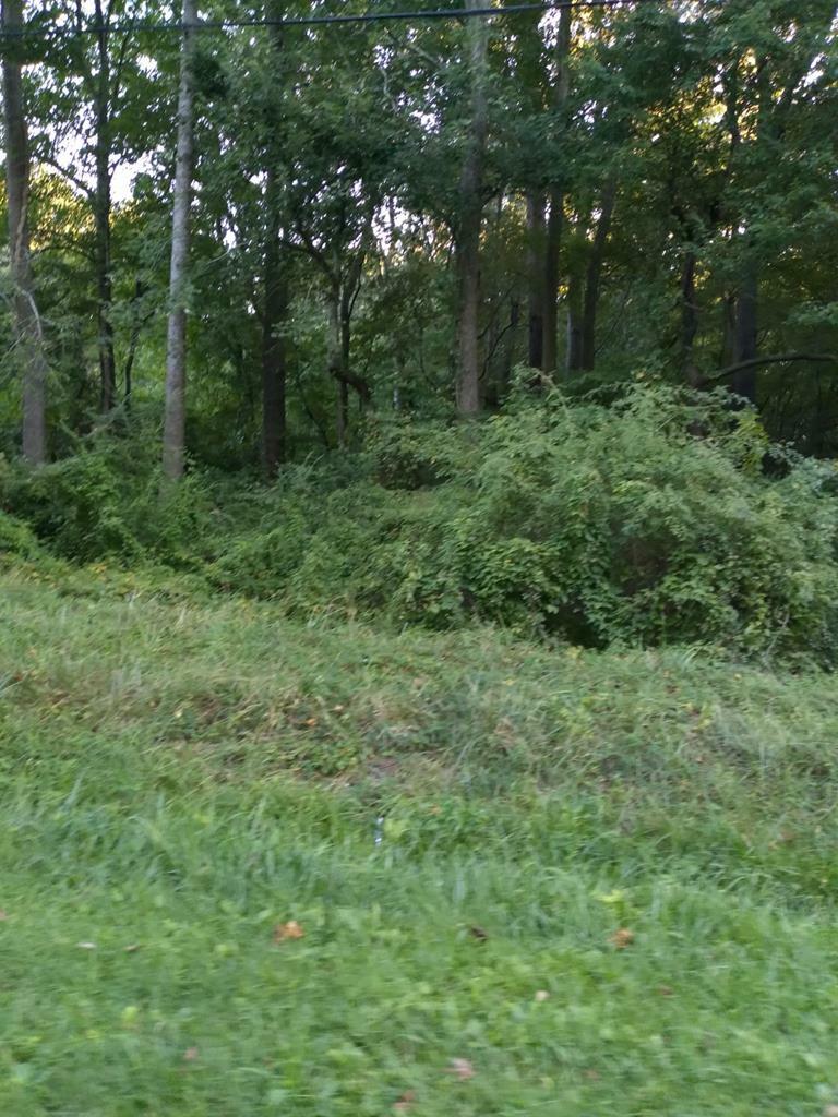 Property Photo:  Lot 115 Saxis Rd  VA 23442 