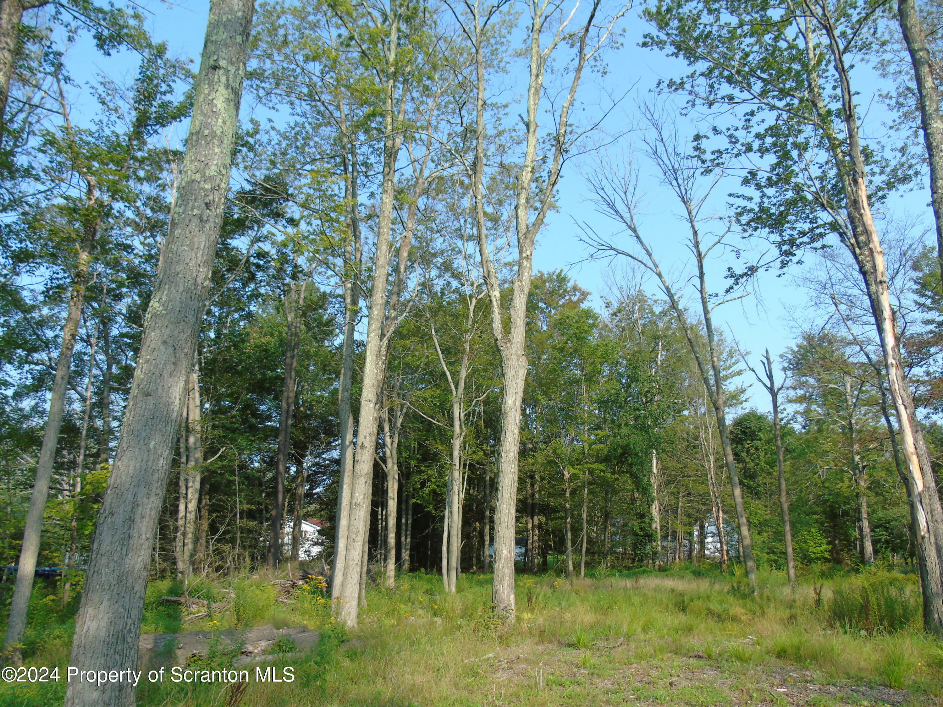 Property Photo:  Lot 31 41 Birch St Street  PA 18444 