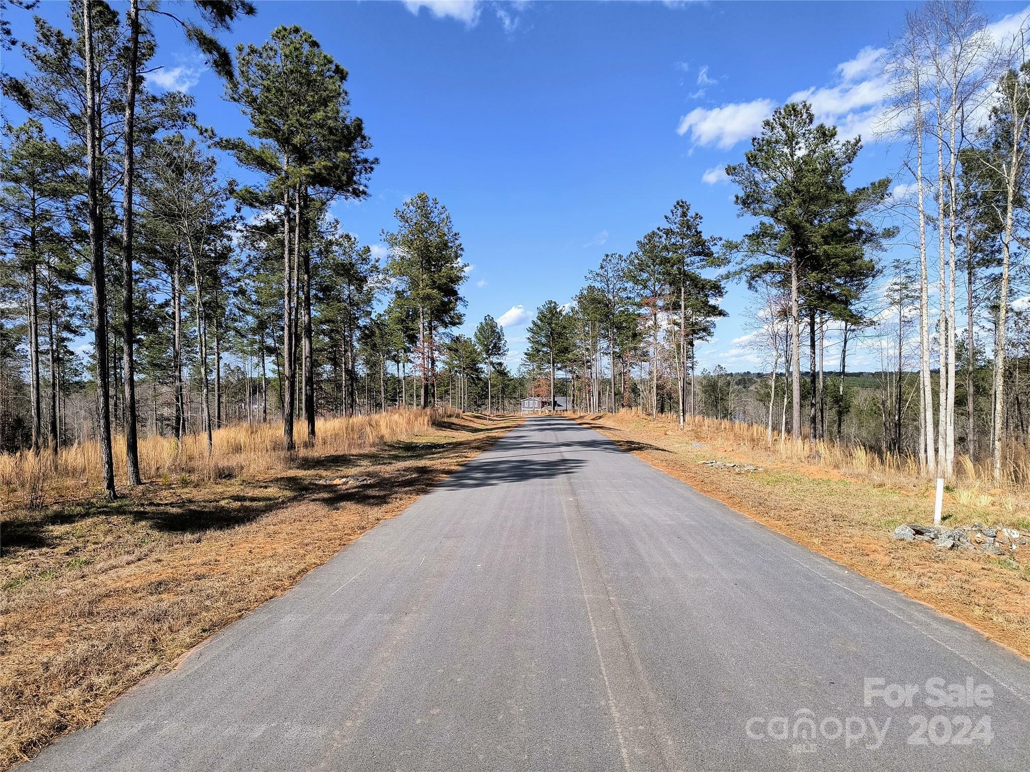 Property Photo:  3076 Capitol Peak Summit  NC 28612 