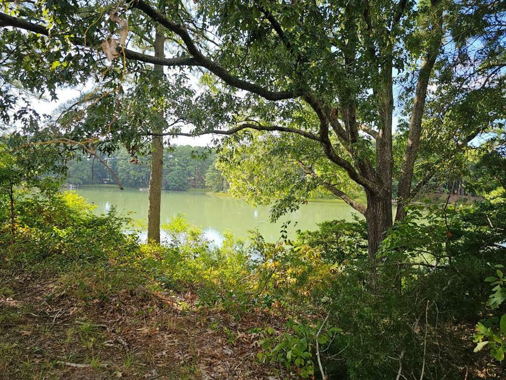 Property Photo:  Lot 3 Virginia Lane  VA 23350 