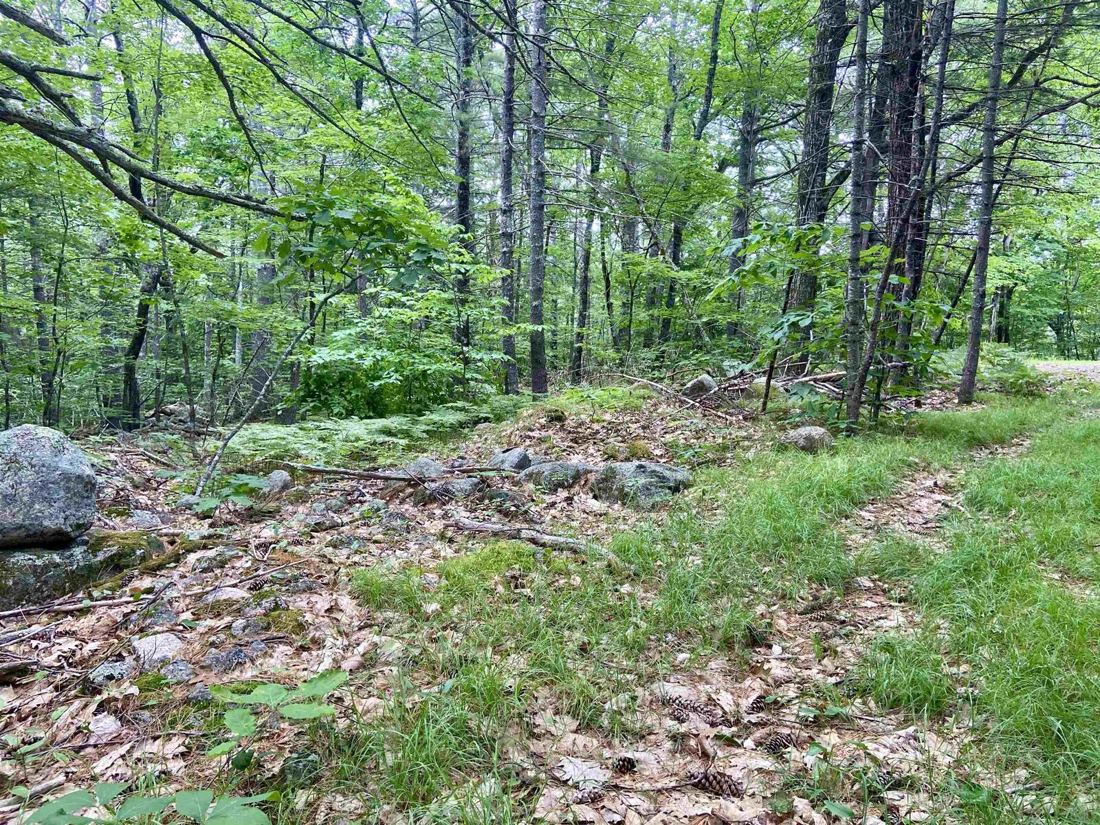 Property Photo: 3 Old Town Road NH 03849