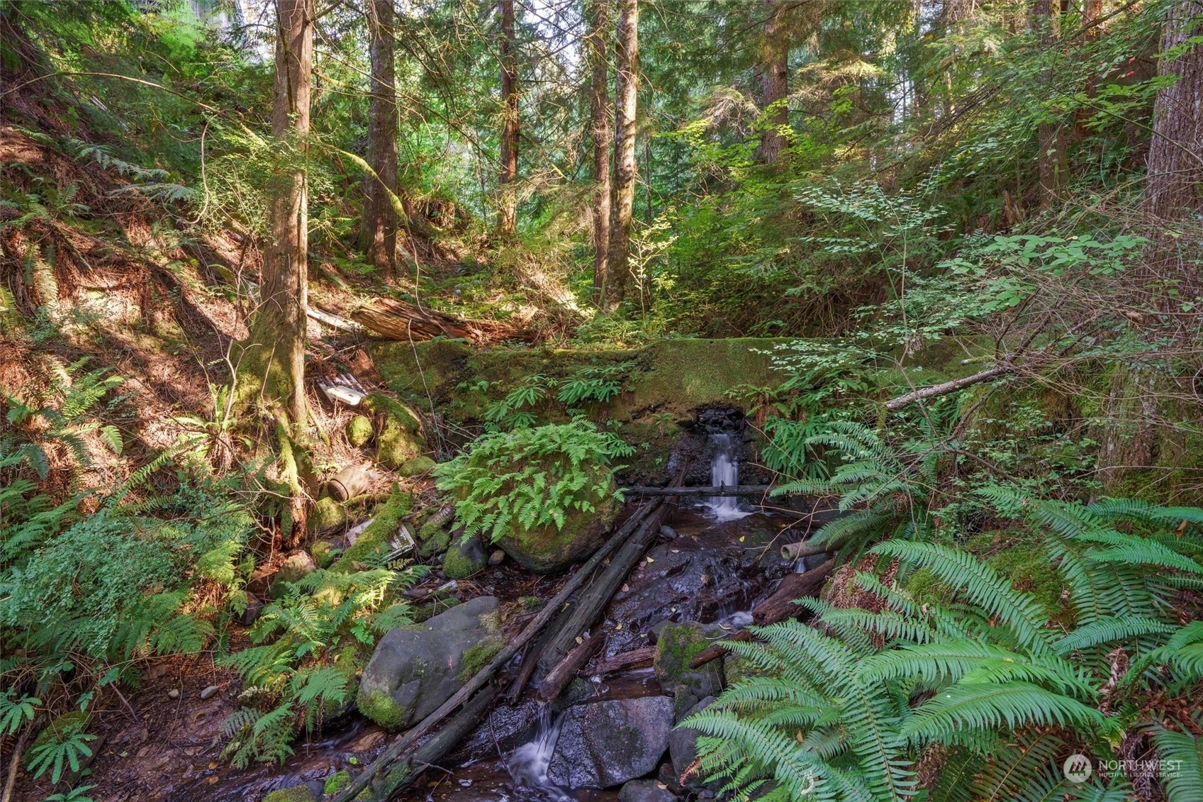 Property Photo:  1 Lake Umek Rd  WA 98051 