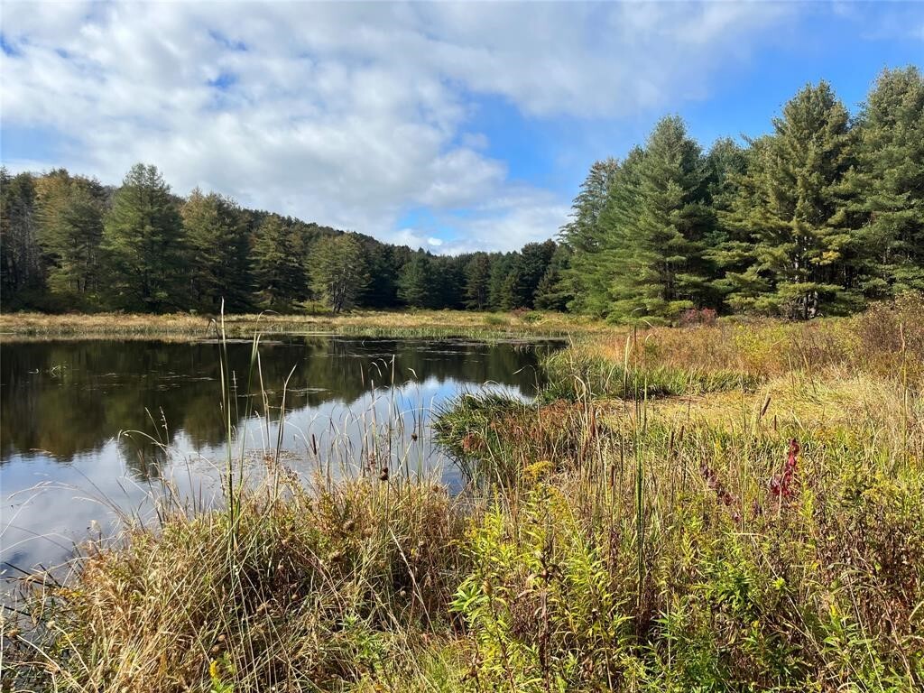 Property Photo: 219 Martin Hill Road NY 13787