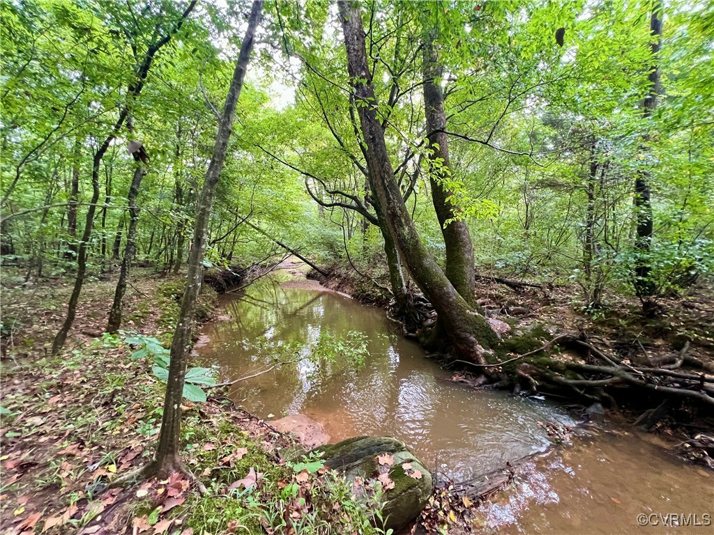 Property Photo:  Lot 18 Owl Rd  VA 23947 