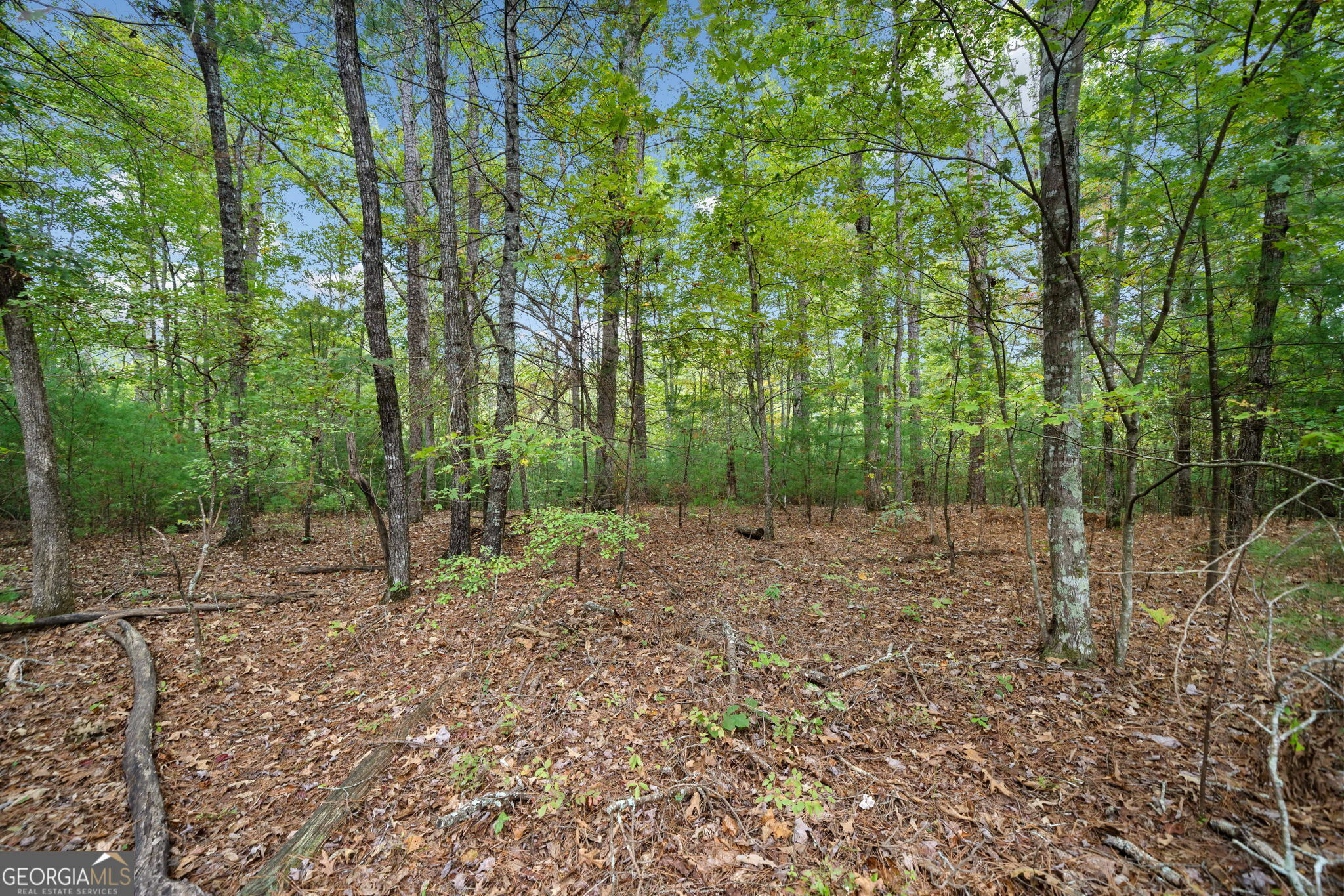 Property Photo:  L122 Trout Line Court  GA 30175 