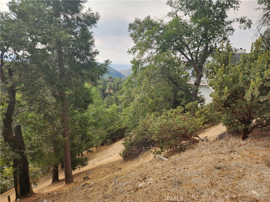 Property Photo:  0 Evergreen Lane  CA 92352 