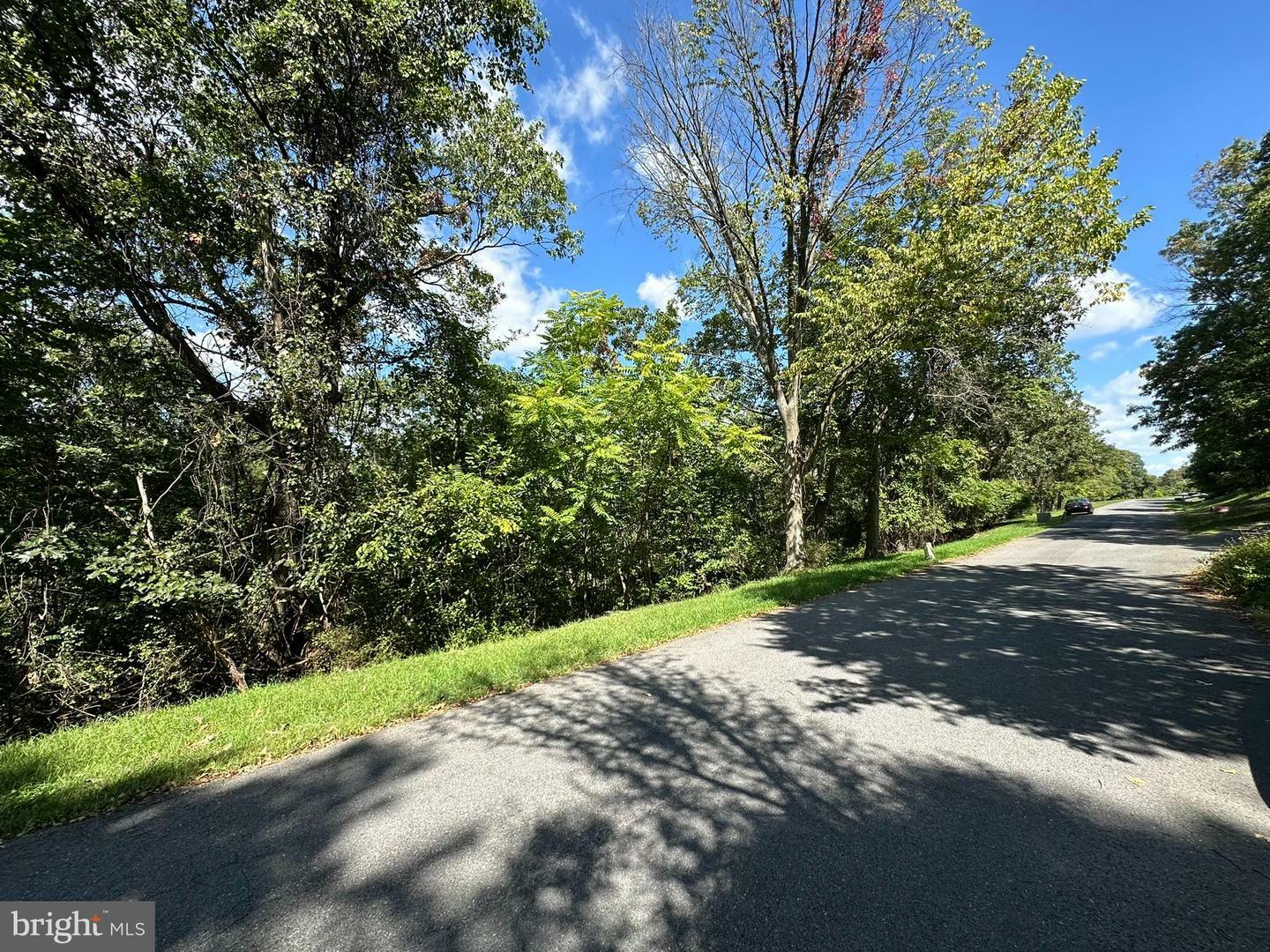 Property Photo:  Lots 310 &Amp 312 Skyview Drive  MD 21502 