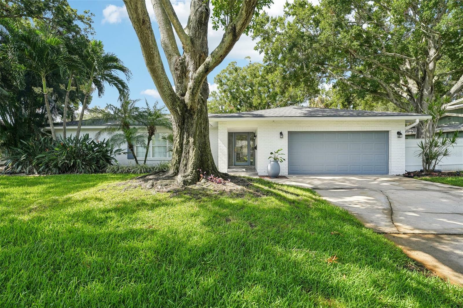 Property Photo:  1666 N Dakota Avenue NE  FL 33703 