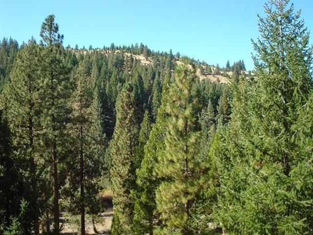 Property Photo:  357 Big Grizzly  CA 96122 