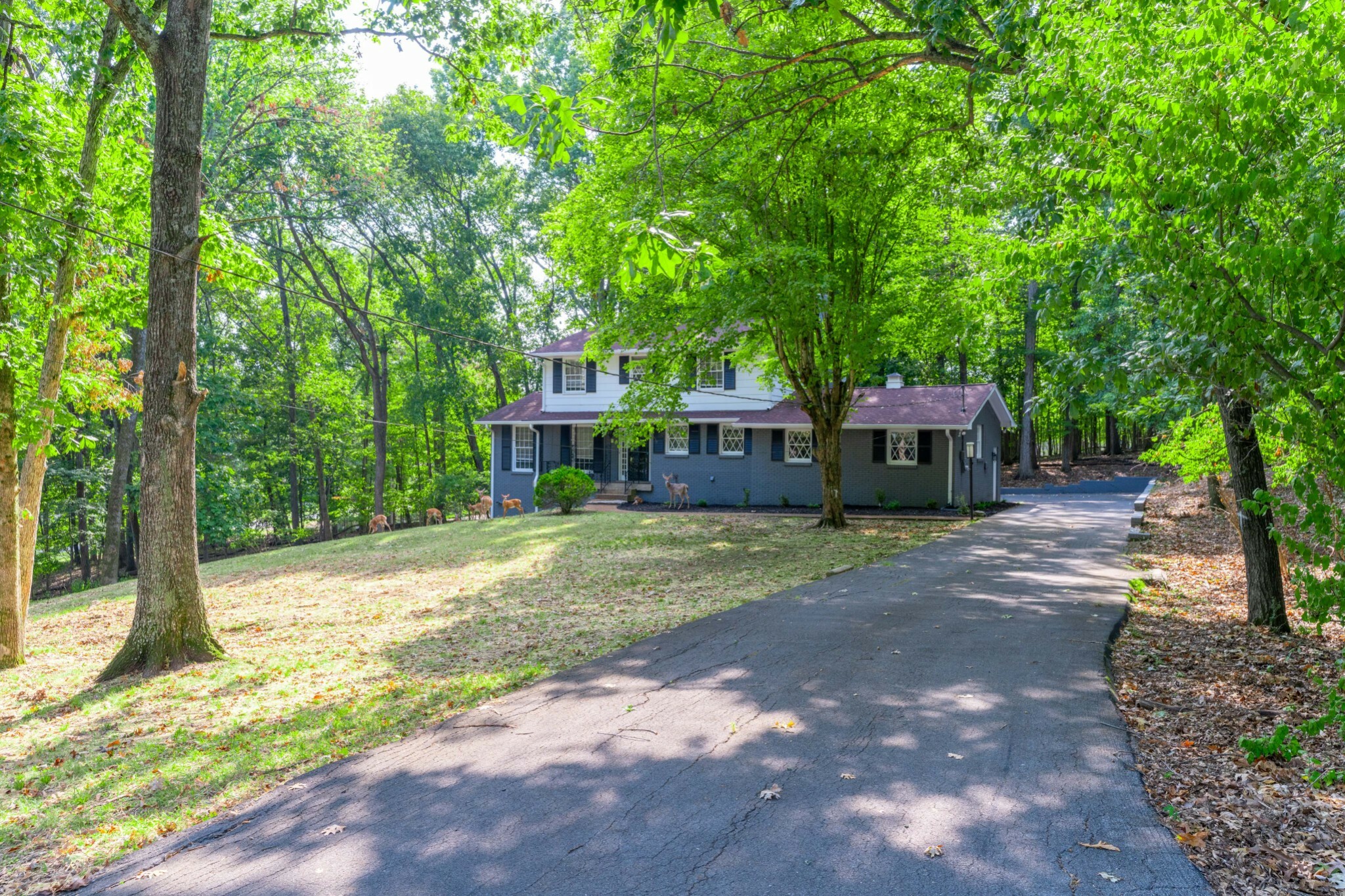 Property Photo:  106 Lee Ct  TN 37075 