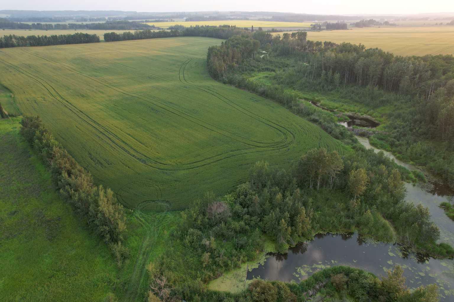 Photo de la propriété: On Range Road 30A AB T0C 0M0