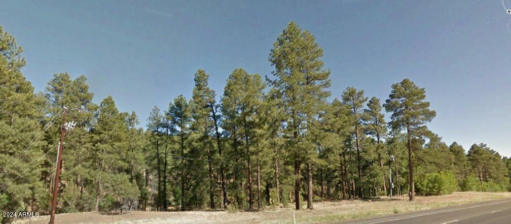 Property Photo: 2351 S White Mountain Road - AZ 85902