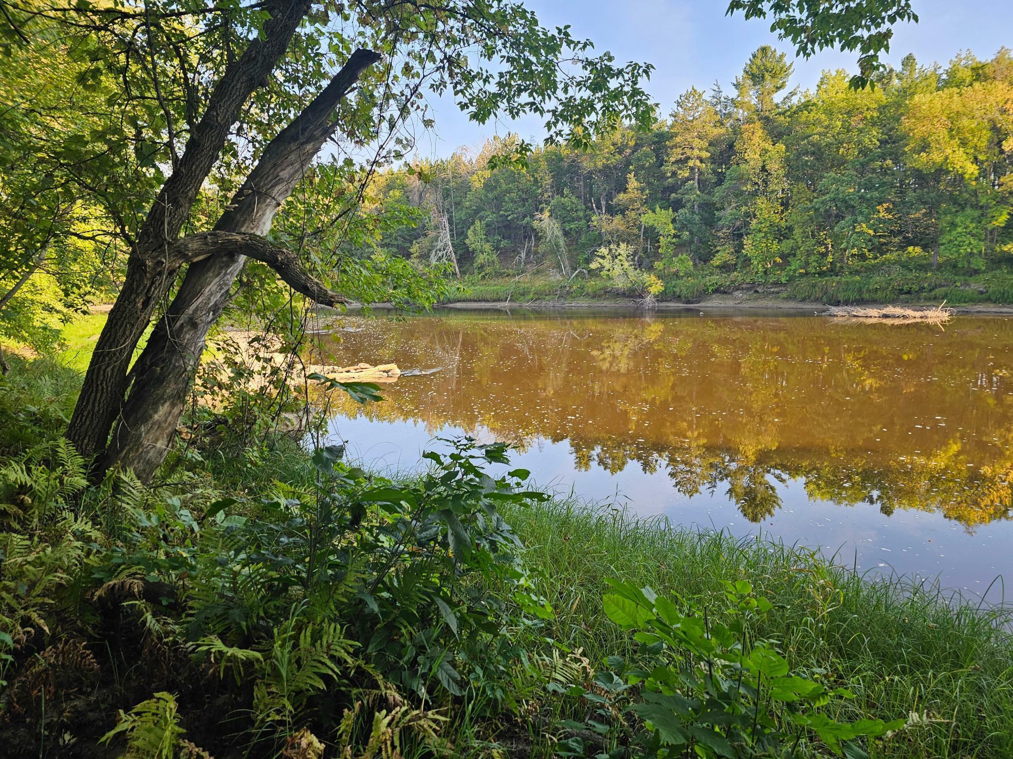Property Photo: Lot 5 Blk 1, 5.4 Acres County Road 30 MN 56441
