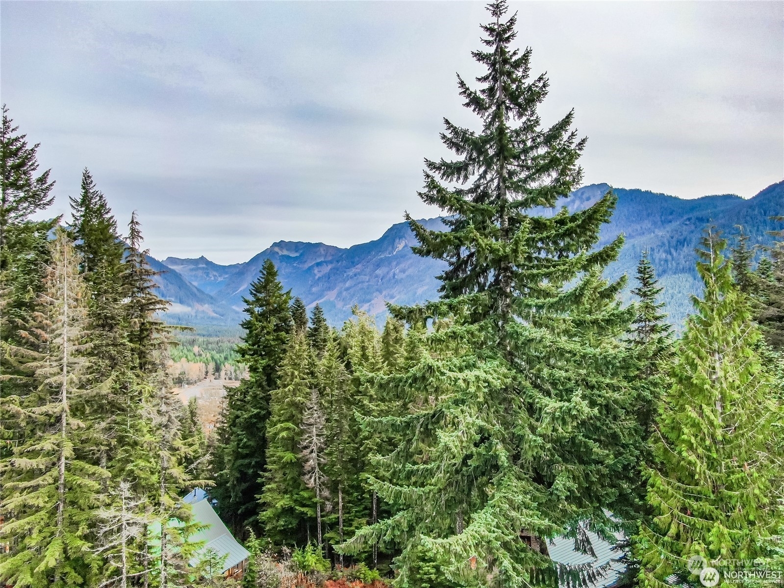 Property Photo:  230 Innsbruck Drive  WA 98068 