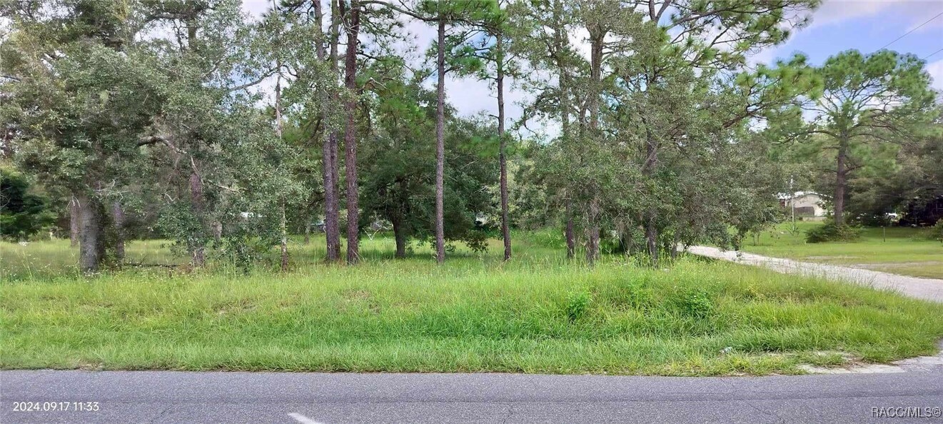 Property Photo:  5086 S Felix Point  FL 34446 