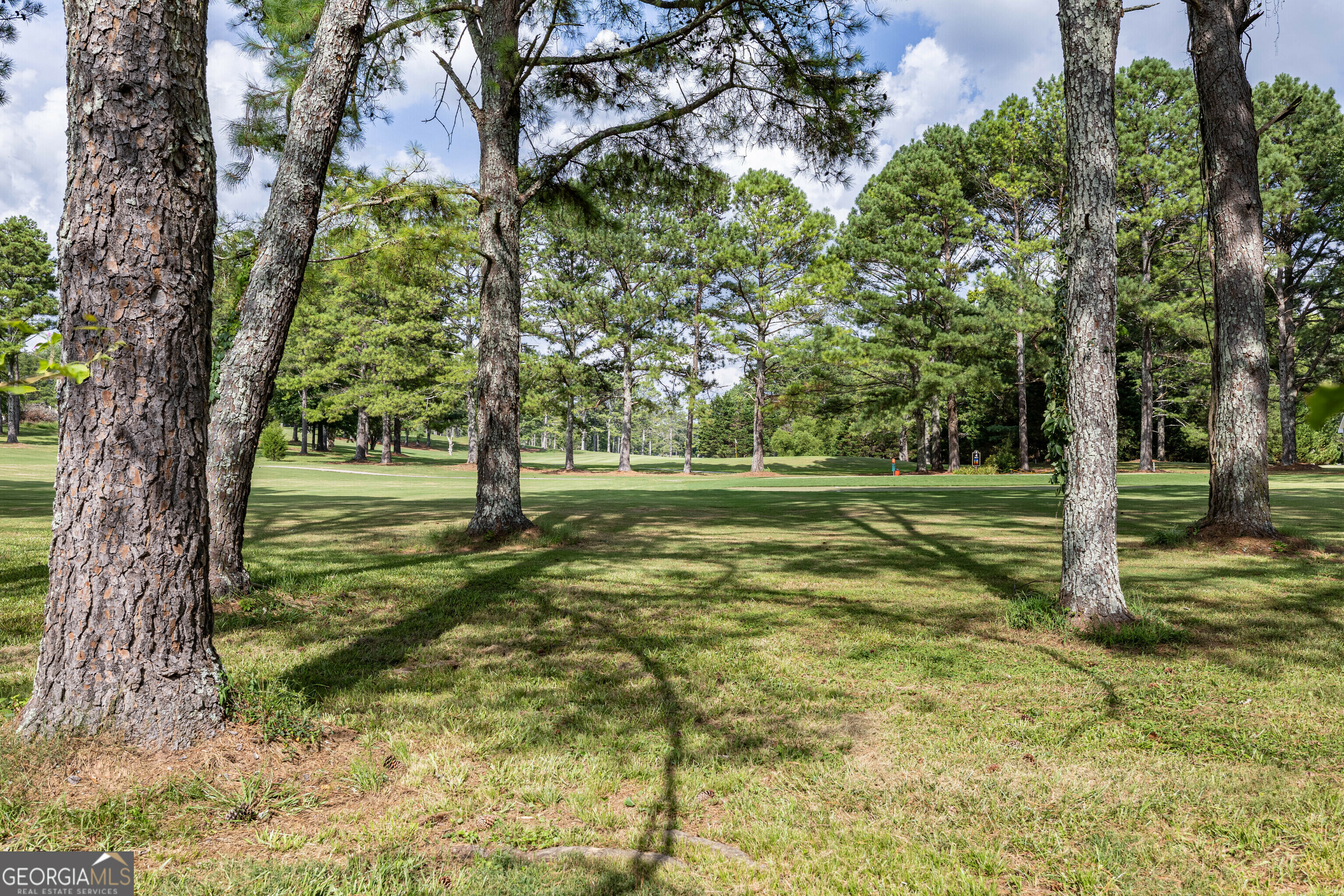 Property Photo:  804 N College Drive  GA 30125 