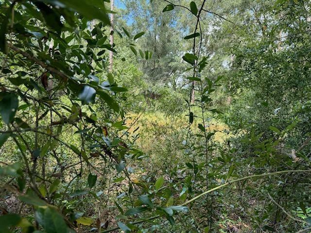 Lot 20,21,22 SW Peach Blossom Street  Dunnellon FL 34431 photo