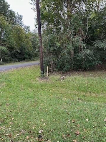 Property Photo: 0 Reeves Cemetery Road TX 77535