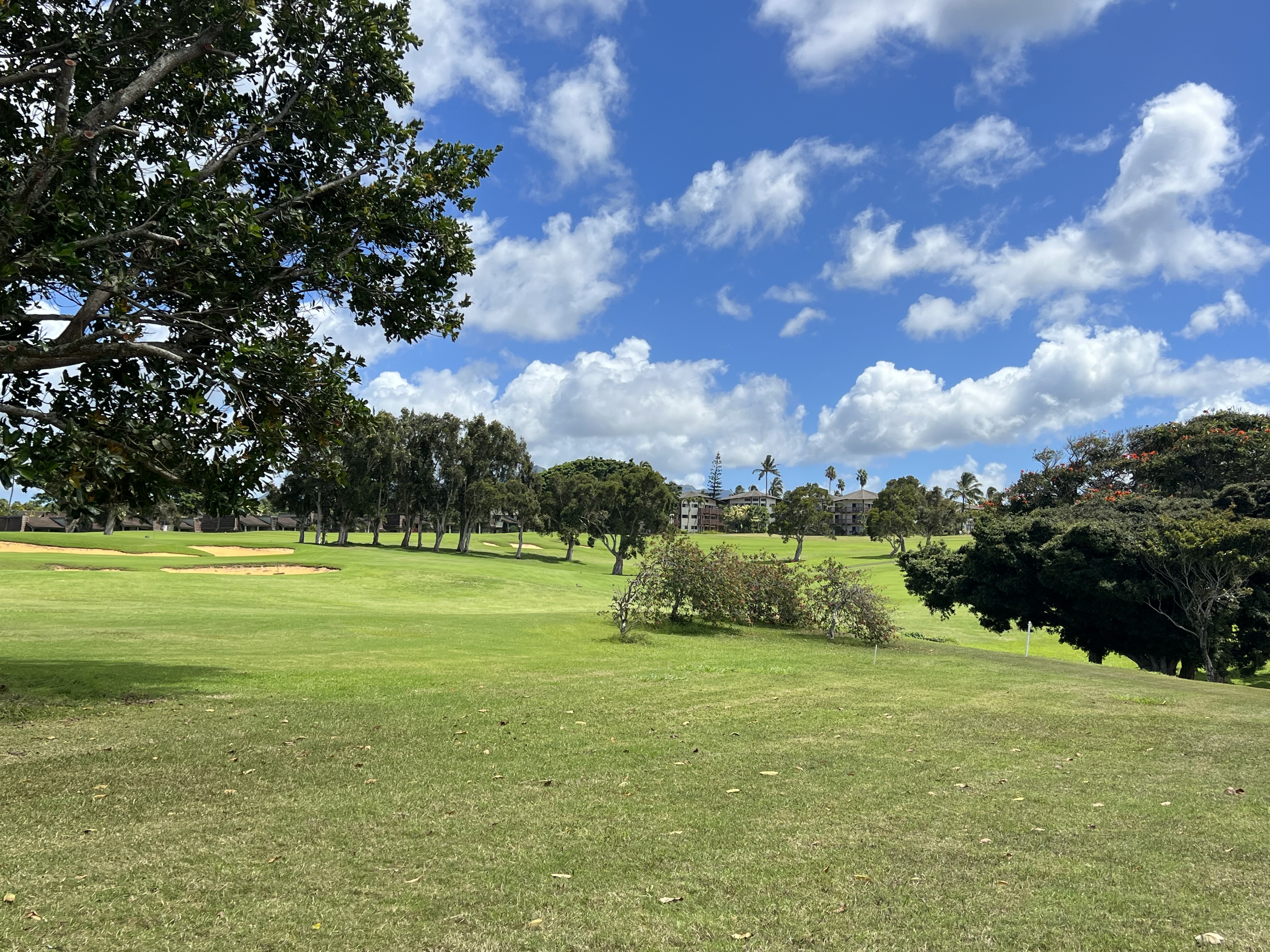 Property Photo:  3875 Kamehameha Rd 1  HI 96722 