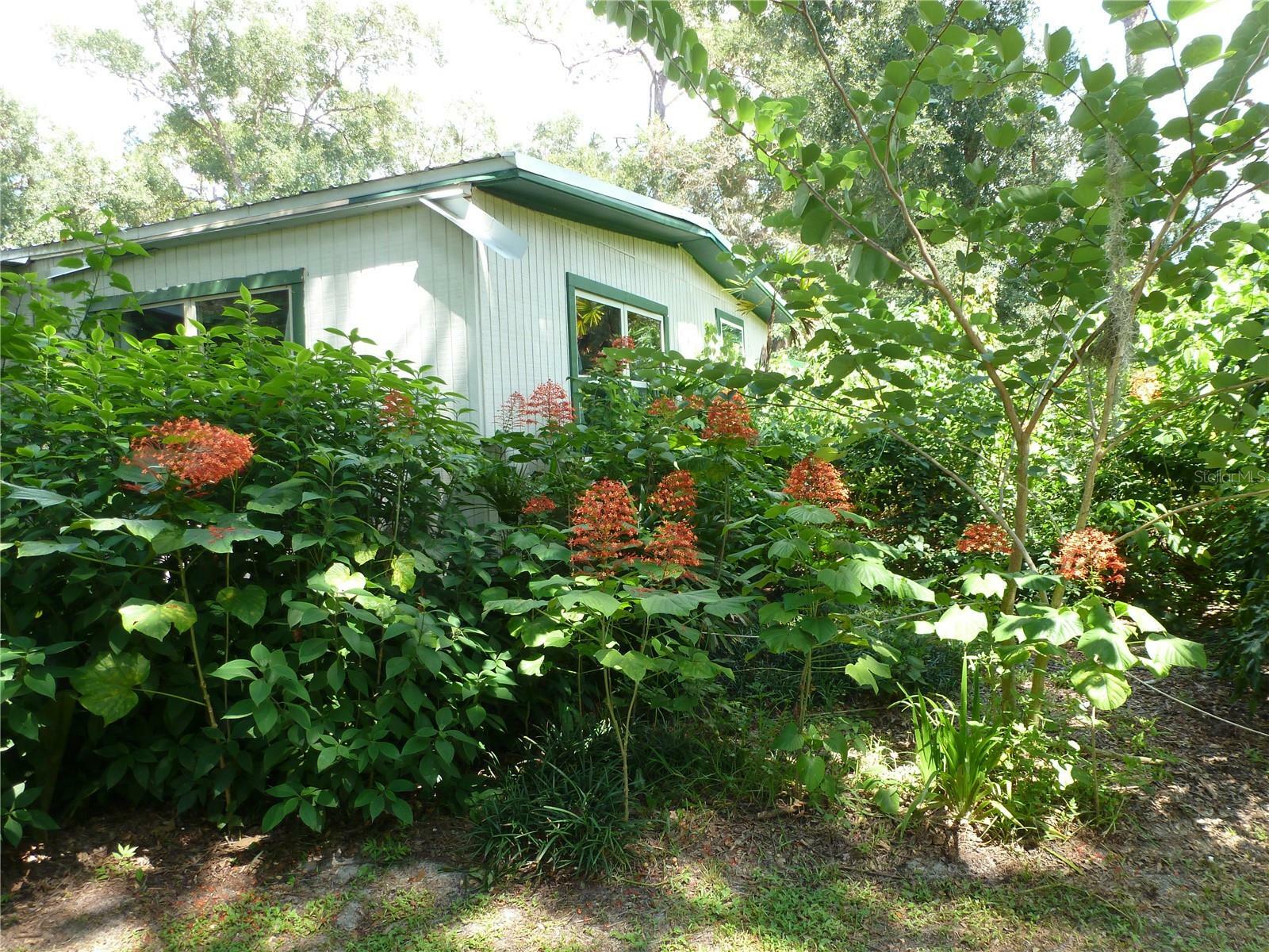 Property Photo:  6617 Virginia Beach Lane  FL 32656 