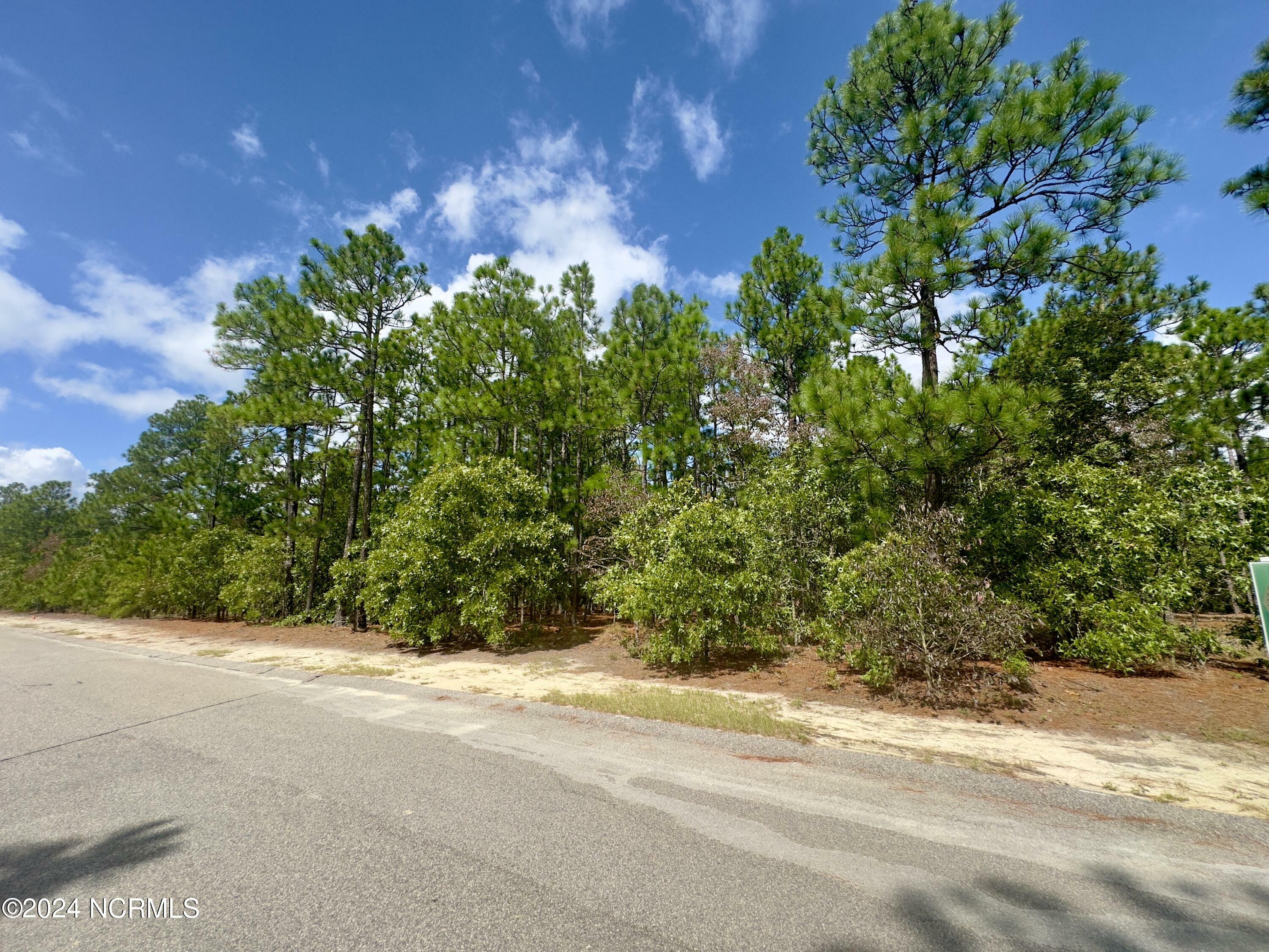 Property Photo:  221 Carriage Park Drive  NC 27376 