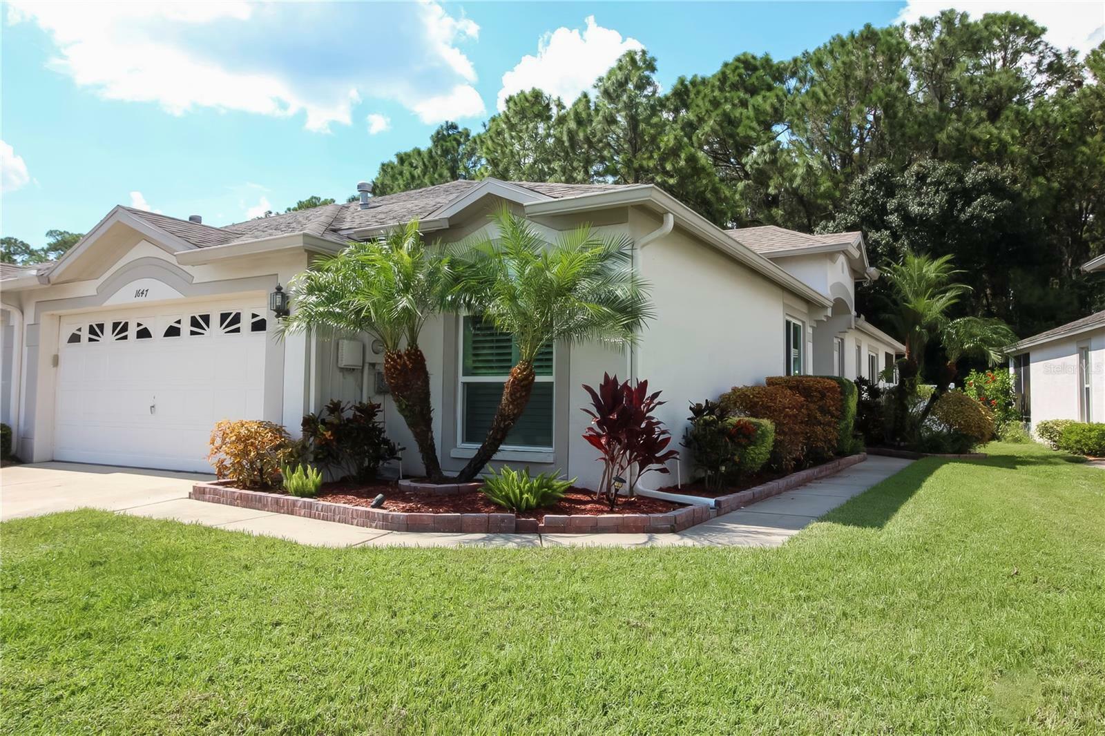 Property Photo:  1647 Sassafras Drive  FL 33543 