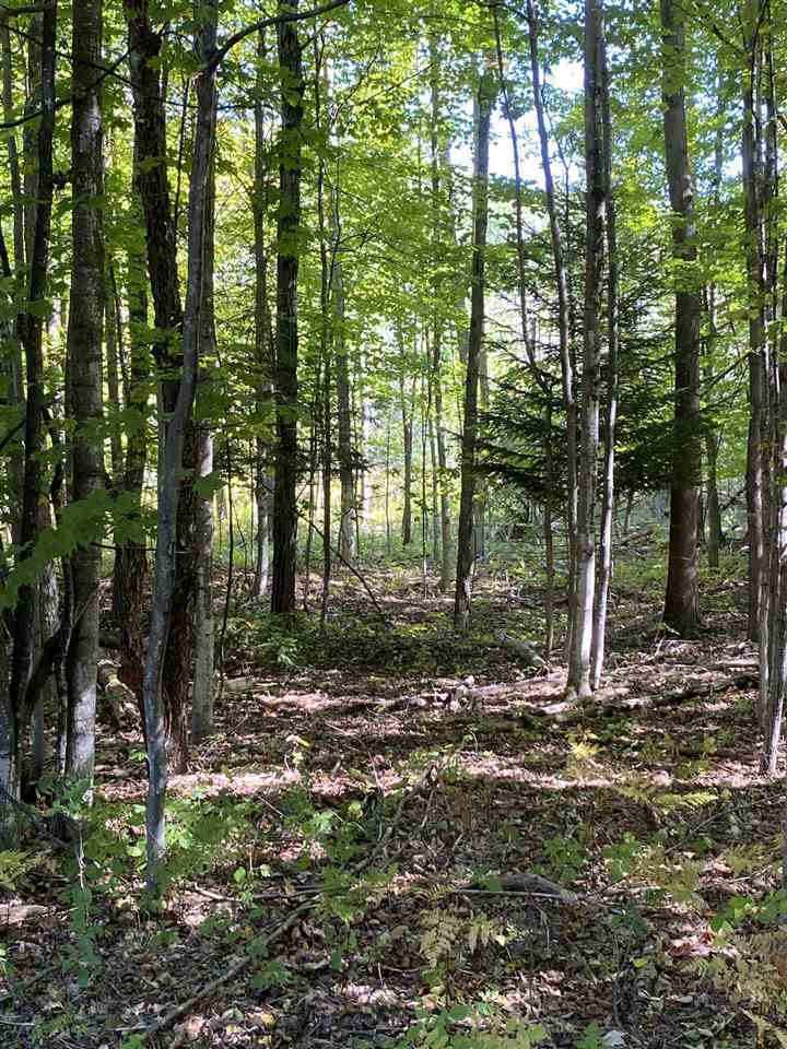 Property Photo:  00 Coulter Creek  MI 49622 