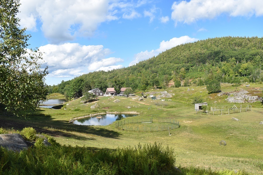 Property Photo:  345 Deer Valley Road  NH 03221-0000 