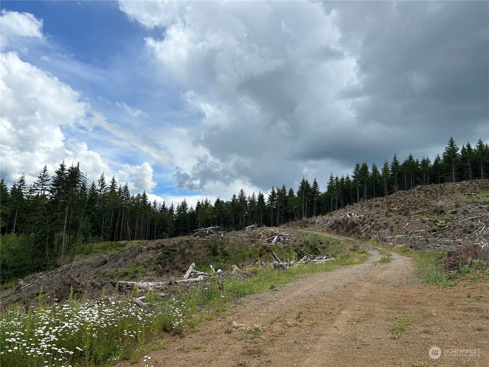 Property Photo:  0 Nka  713 Road  WA 98611 