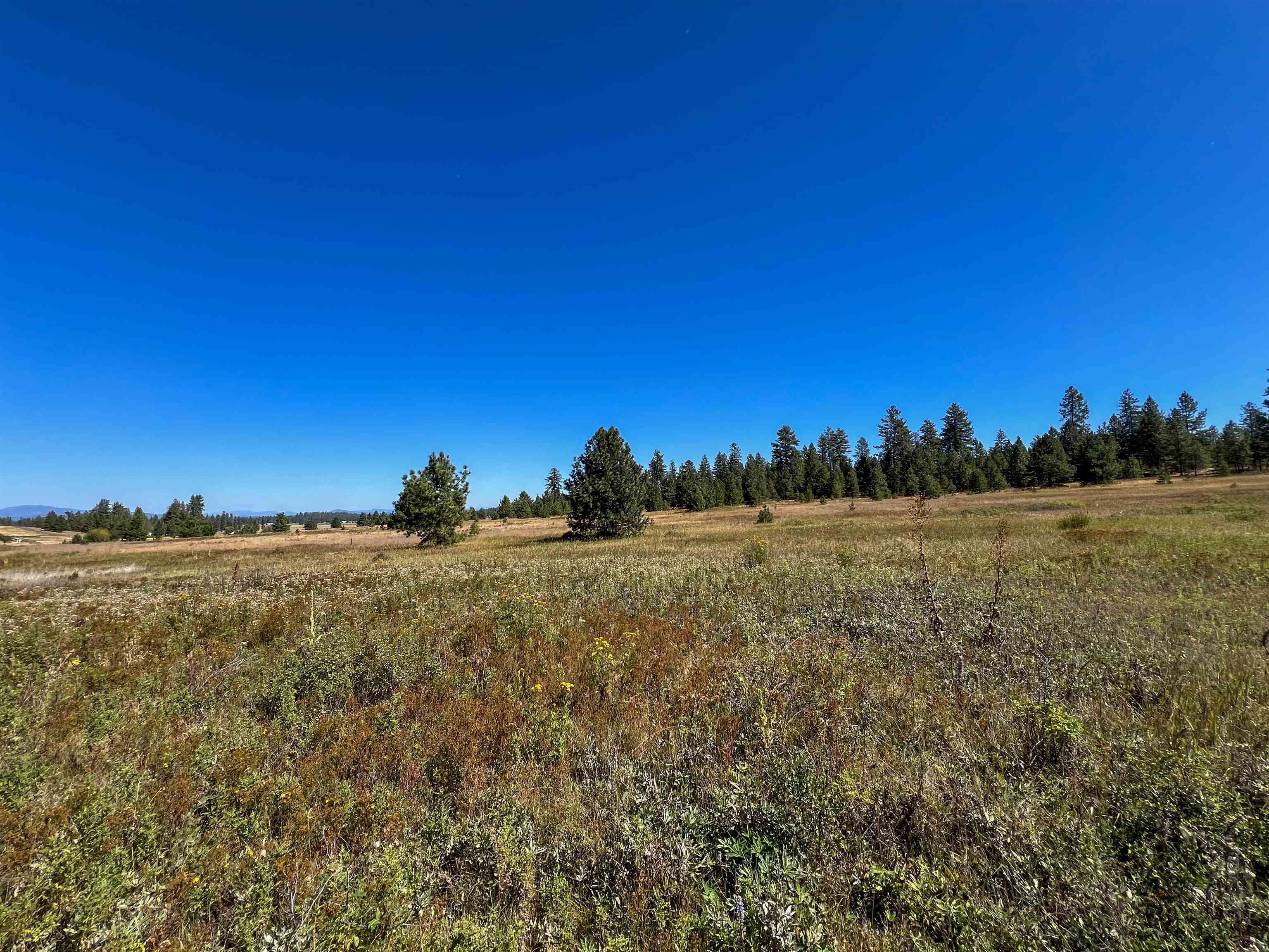 Property Photo:  52xx Lot 1 Swenson Rd  WA 99006 