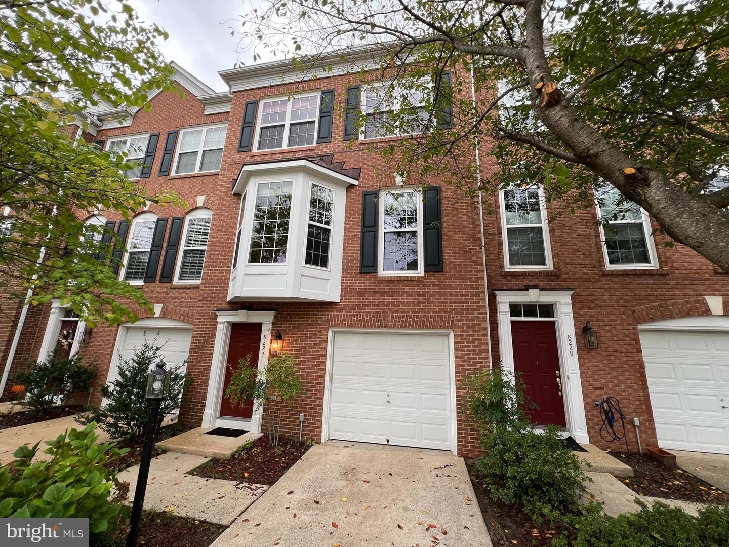 Property Photo:  8227 Singleleaf Lane  VA 22079 