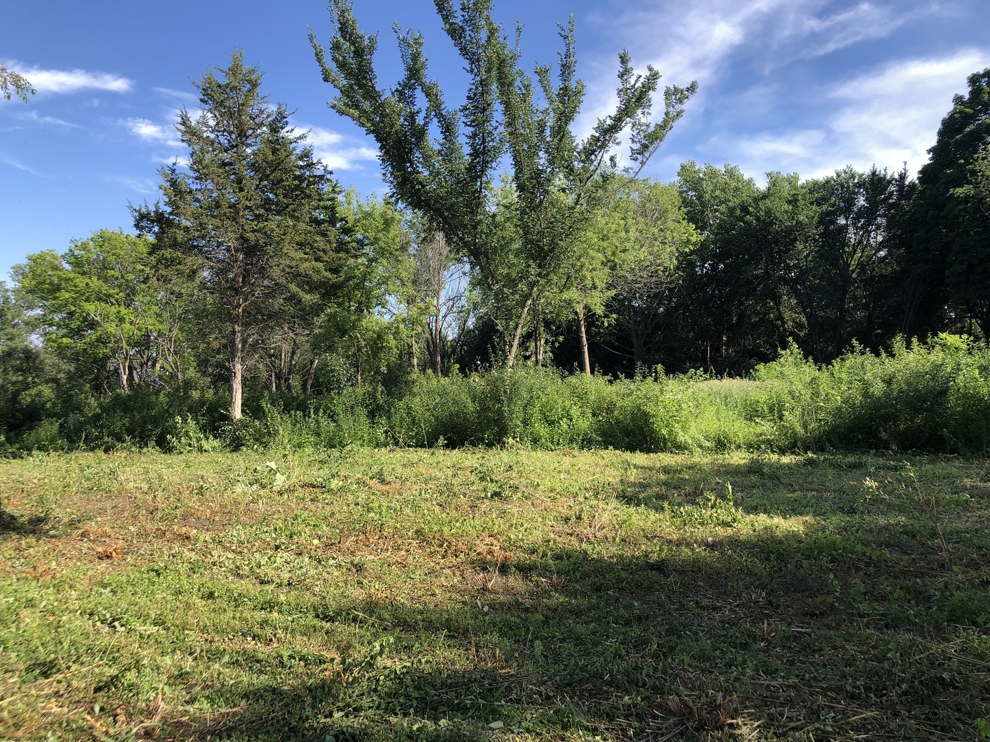 Property Photo:  27477 N Thorntree Road  IL 60060 