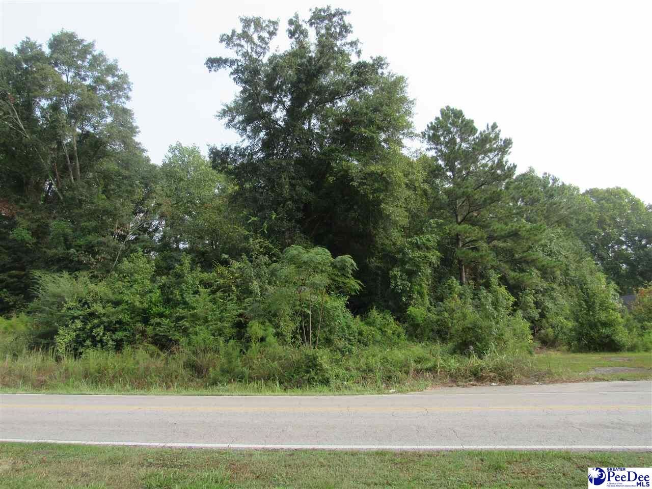 Property Photo: Tbd National Cemetery Rd. SC 29506