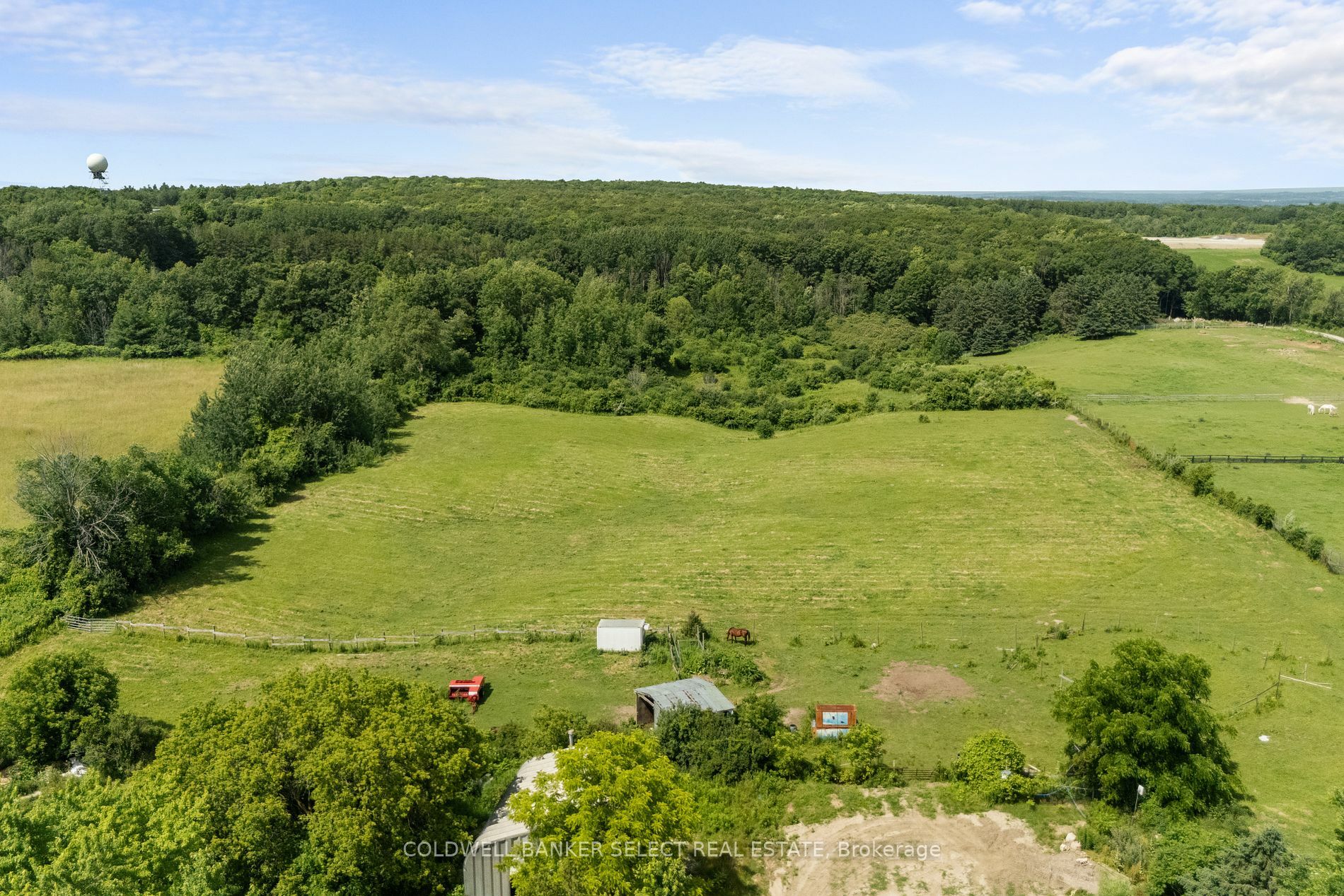 Photo de la propriété:  14880 Jane St  ON L7B 1A3 