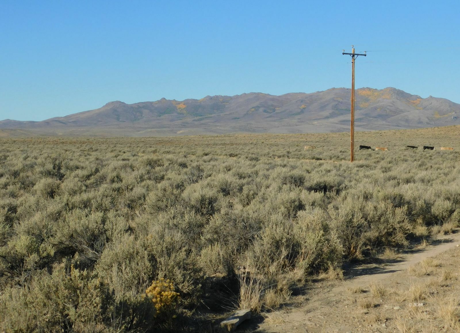 Property Photo:  Tbd SR 225 Highway  NV 89801 