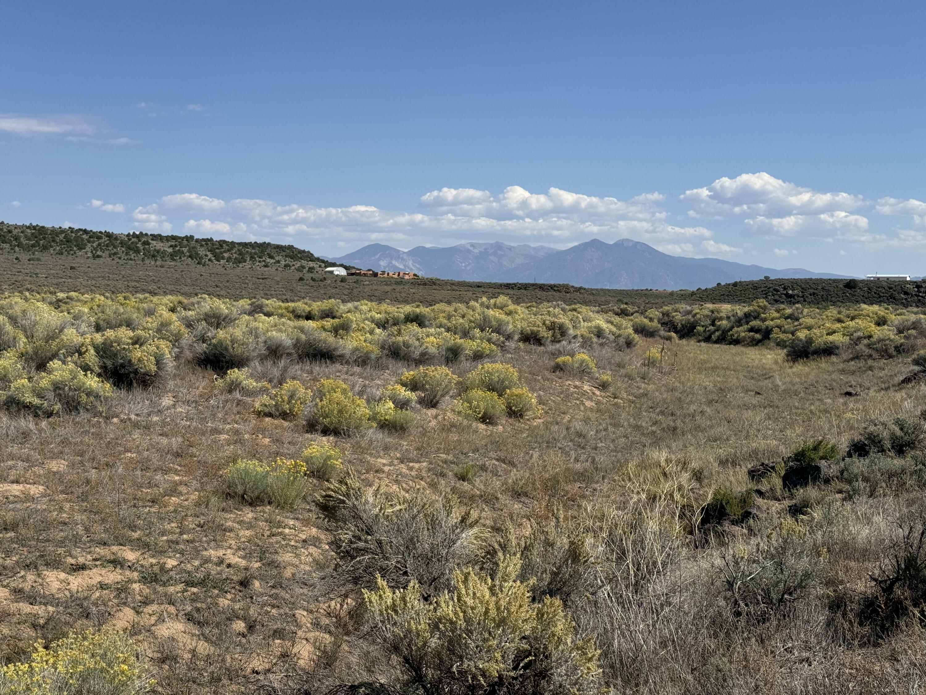 Property Photo:  0 Carson Road  NM 87557 