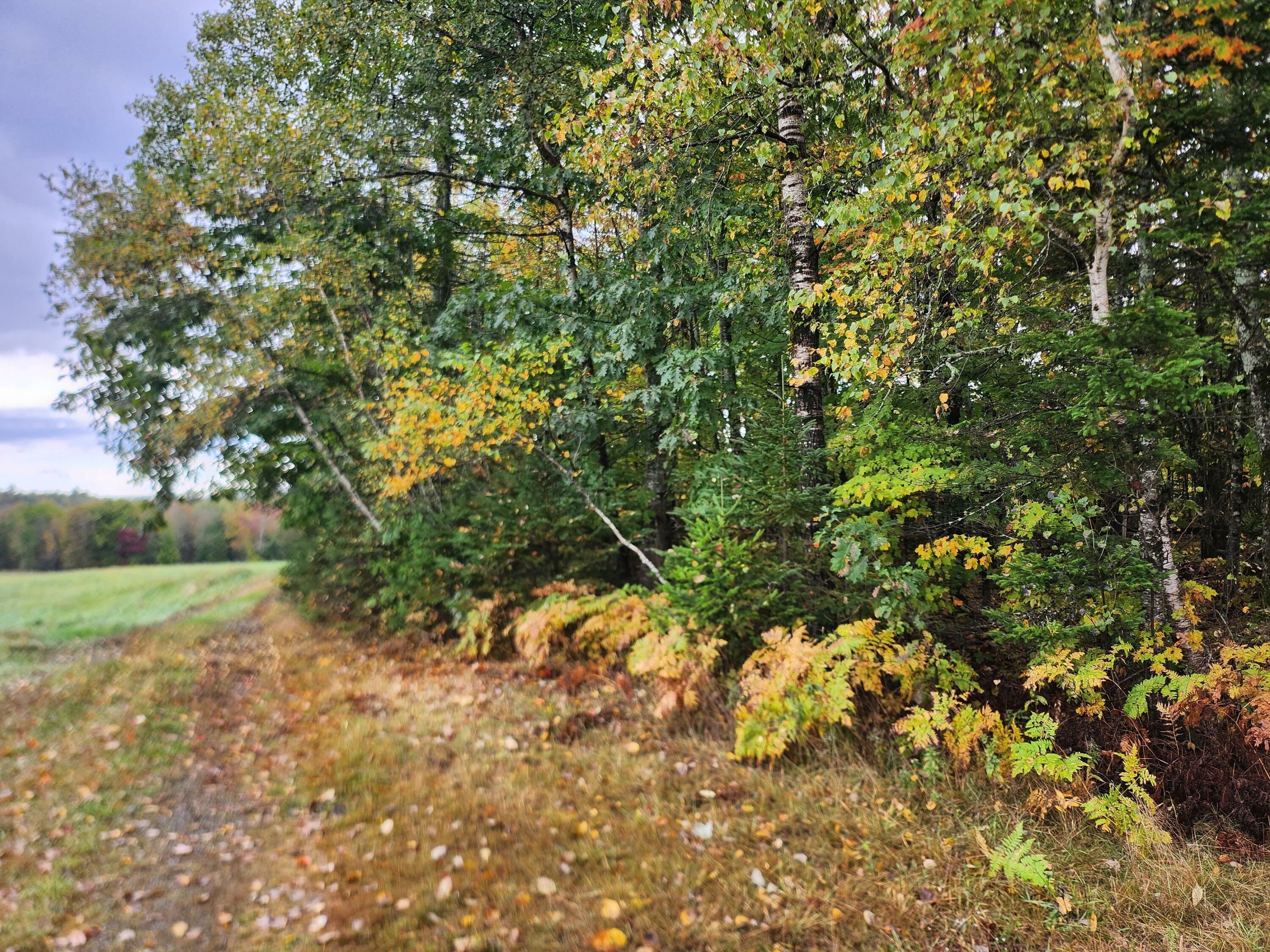 Property Photo:  Lot 46 Lane Road  ME 04930 