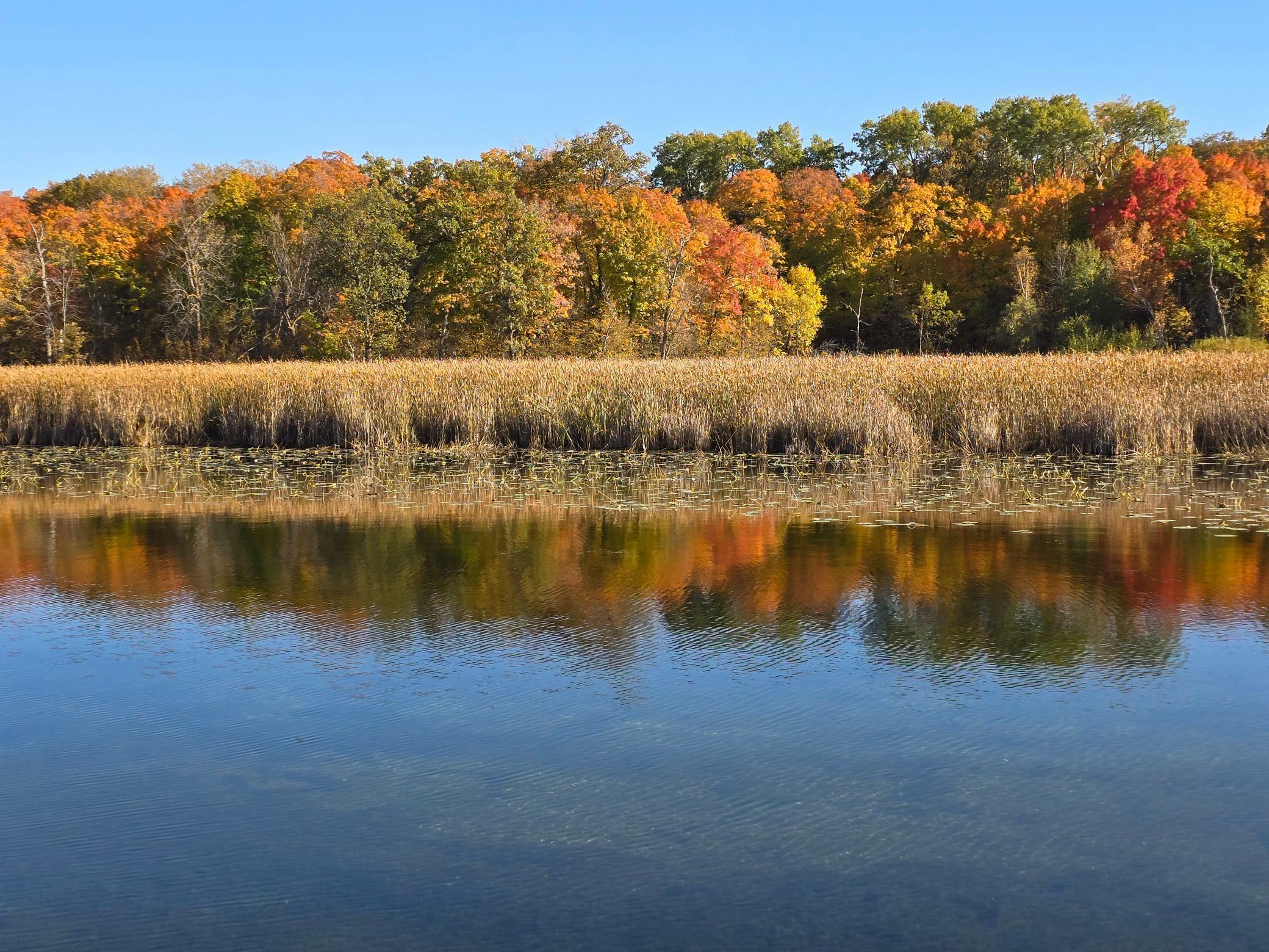 Property Photo:  Tract J Blybergs Lane  MN 56572 