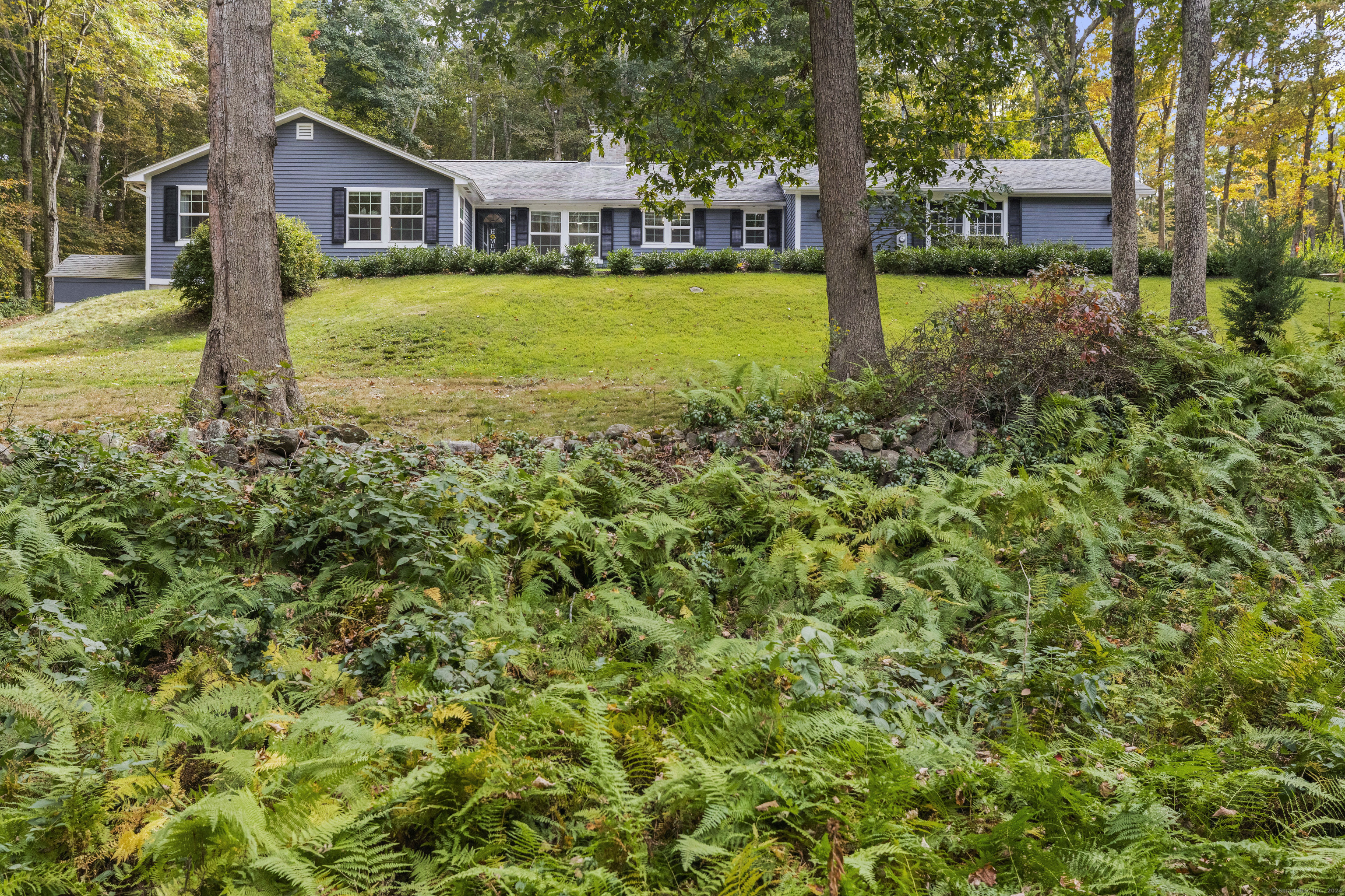 Property Photo:  118 Town Woods Road  CT 06371 