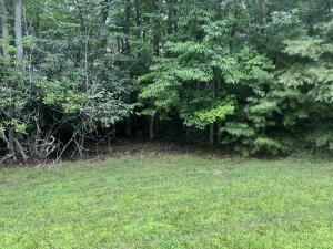 Property Photo:  135 Glenwood Way  WV 24901 