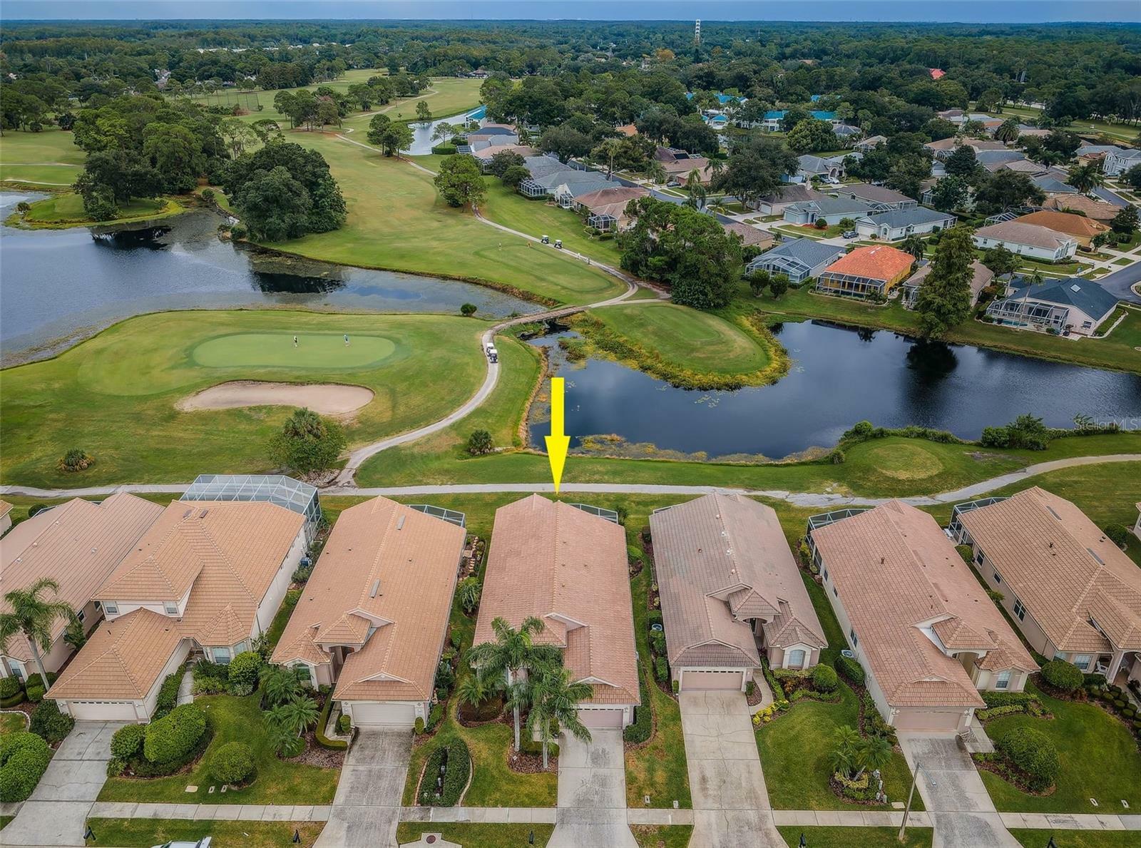 Property Photo:  4350 Live Oak Boulevard  FL 34685 