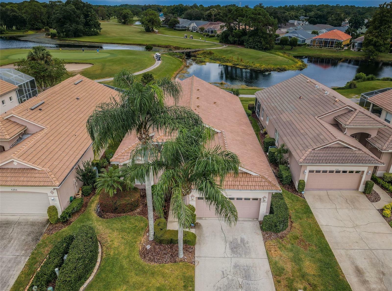 Property Photo:  4350 Live Oak Boulevard  FL 34685 