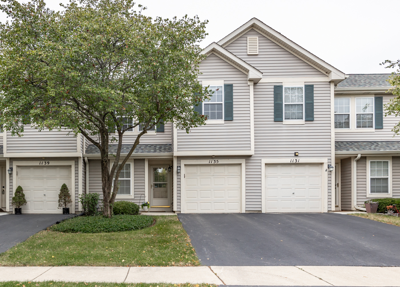 Property Photo:  1135 Vail Court  IL 60540 